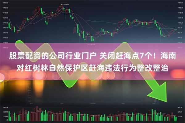 股票配资的公司行业门户 关闭赶海点7个！海南对红树林自然保护区赶海违法行为整改整治